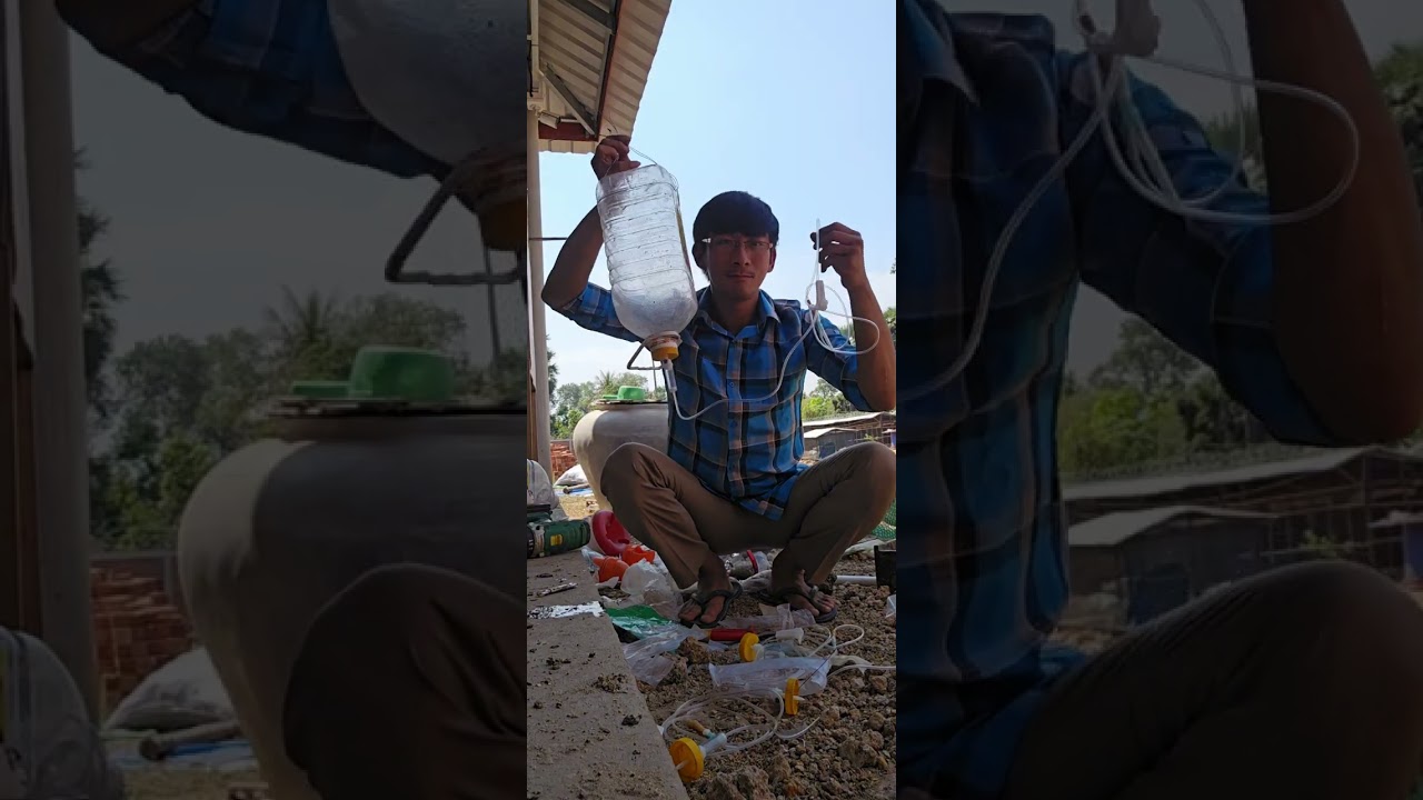 បន្តោងសេរ៉ូមអោយដើមឈើ