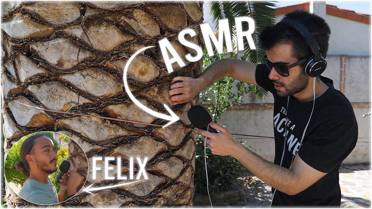 Мы делаем очень хороший ACMP в саду🌴🪴- ACMP на английском языке