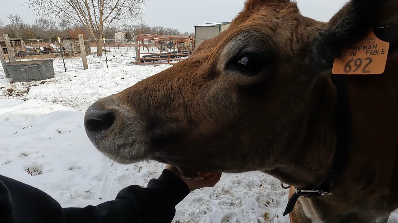 У кого срок родов первый?