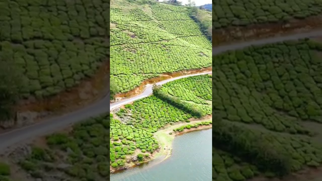 Megamalai Theni where is this...