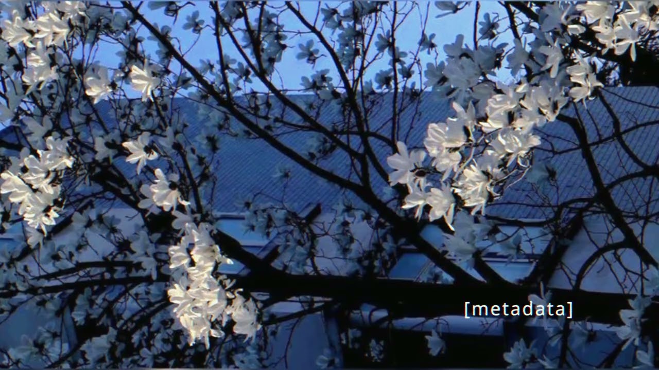 [metadata]