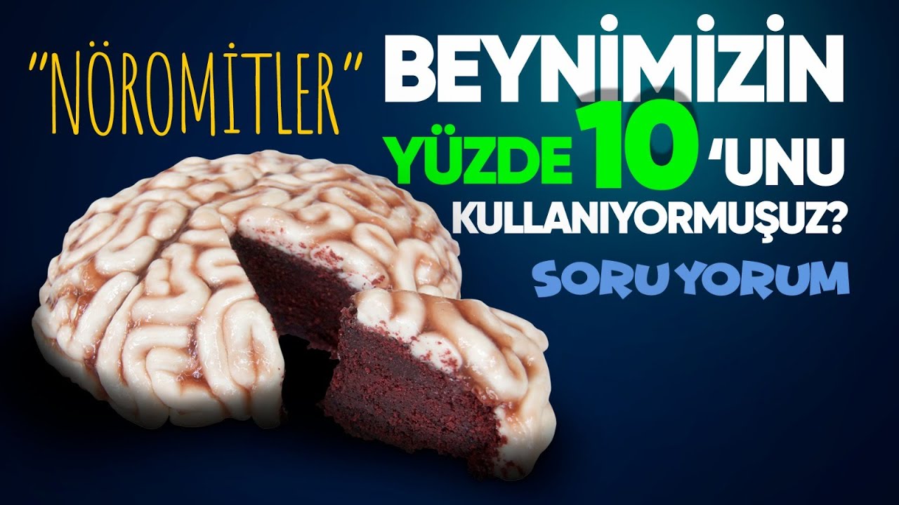 SoruYorum - 
