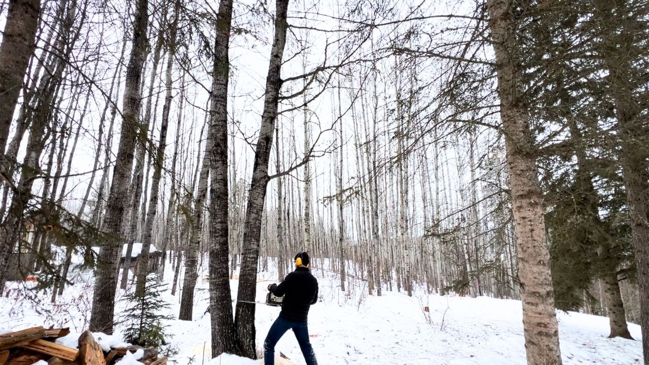 One Storm Away From Disaster… So We Took Down These Trees