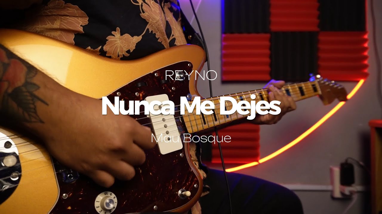 Reyno - Nunca me dejes (KARAOKE/Instrumental) Mau Bosque
