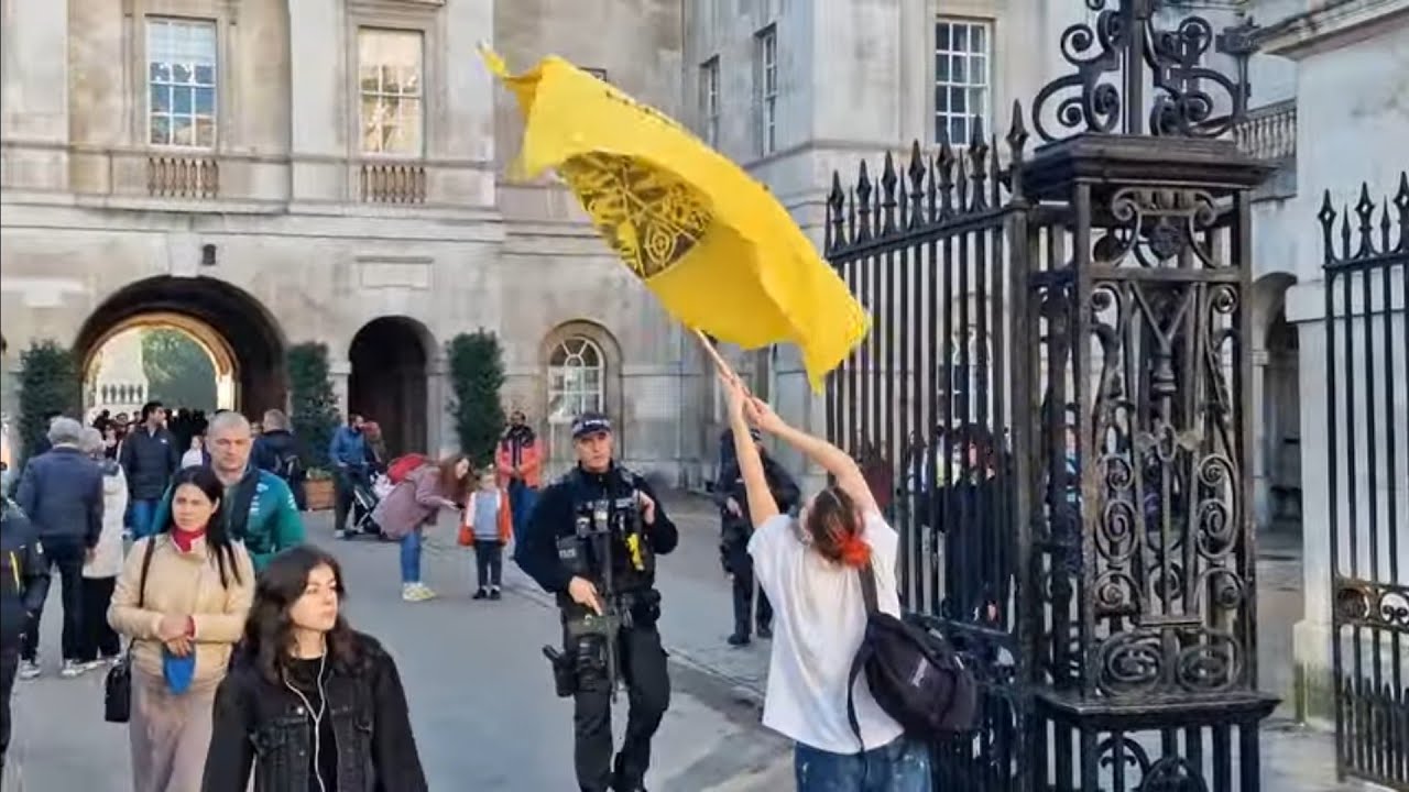 It always happens here flag. police tell her stop your scare the horses #horseguardsparade