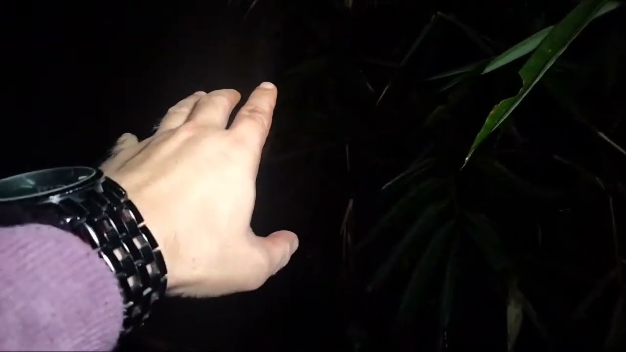 Live misteri🔴PENCARIAN ALDY IBEY HILANG SETELAH BERTARUNG DENGAN SOSOK SILUMAN AIR 🔴