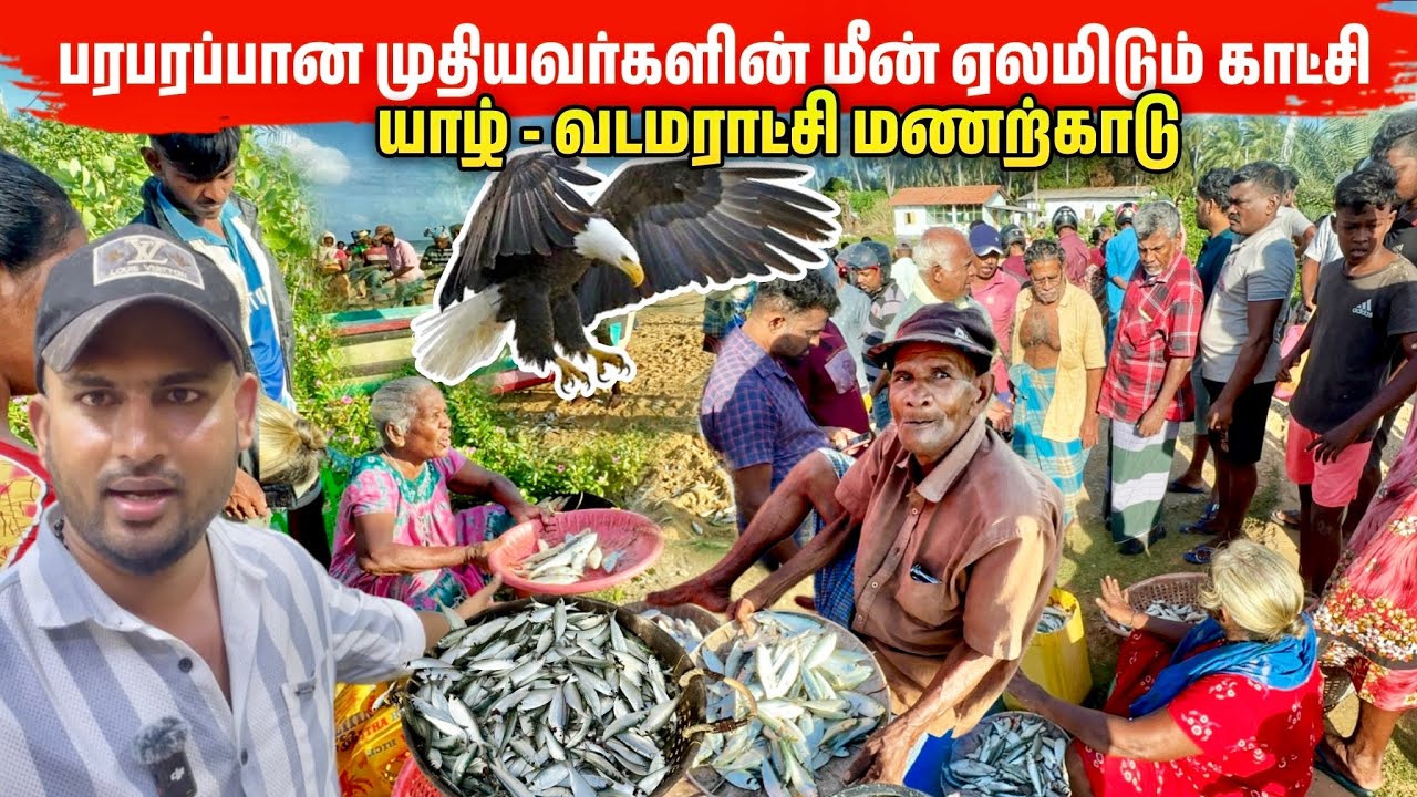 அதிகாலையில் மீனவர்களின் வாழ்க்கை முறை | Village Fishing Life 