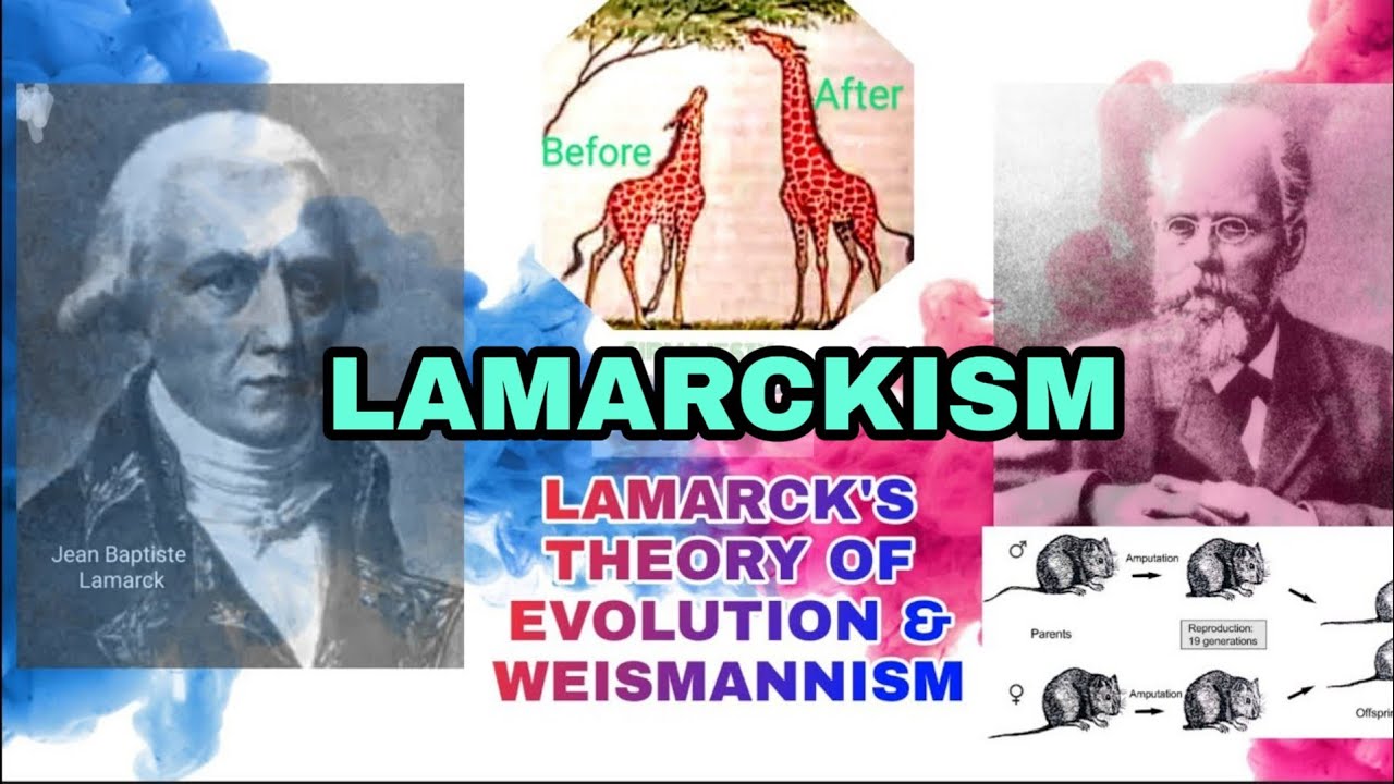 LAMARCK'S THEORY OF EVOLUTION. LAMARCKISM & WEISMANNISM(continuity of the Germ plasm)