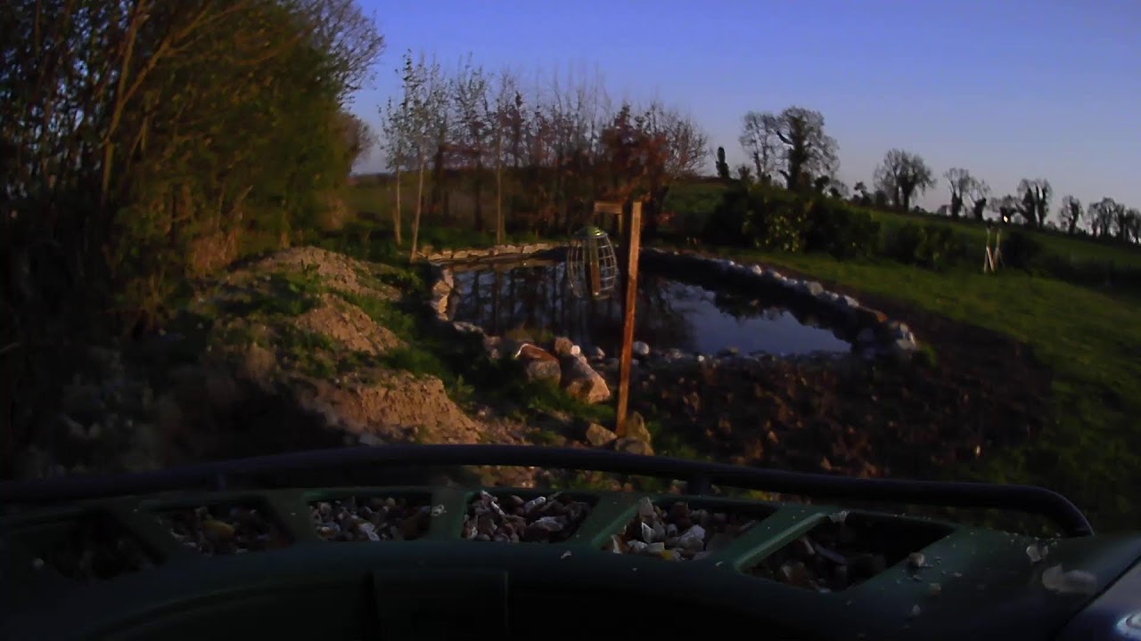 Carlow Weather Live Stream #BirdfyLive