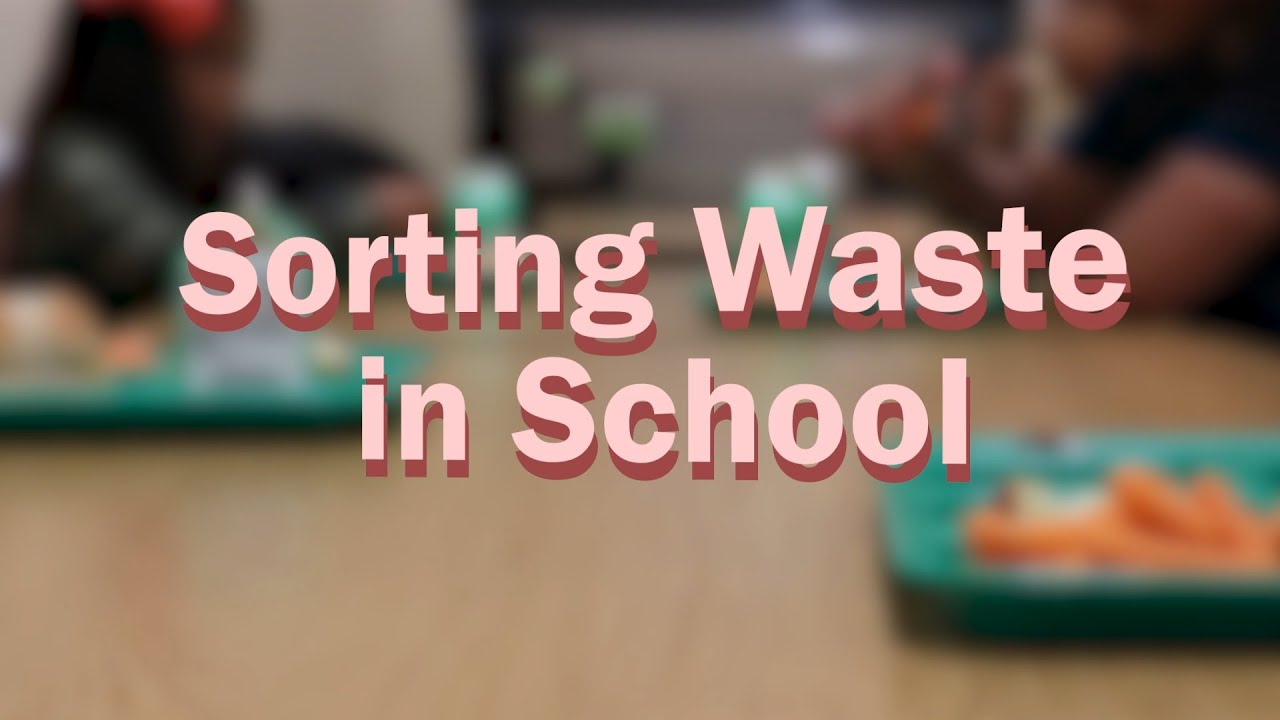 Sorting Waste in School