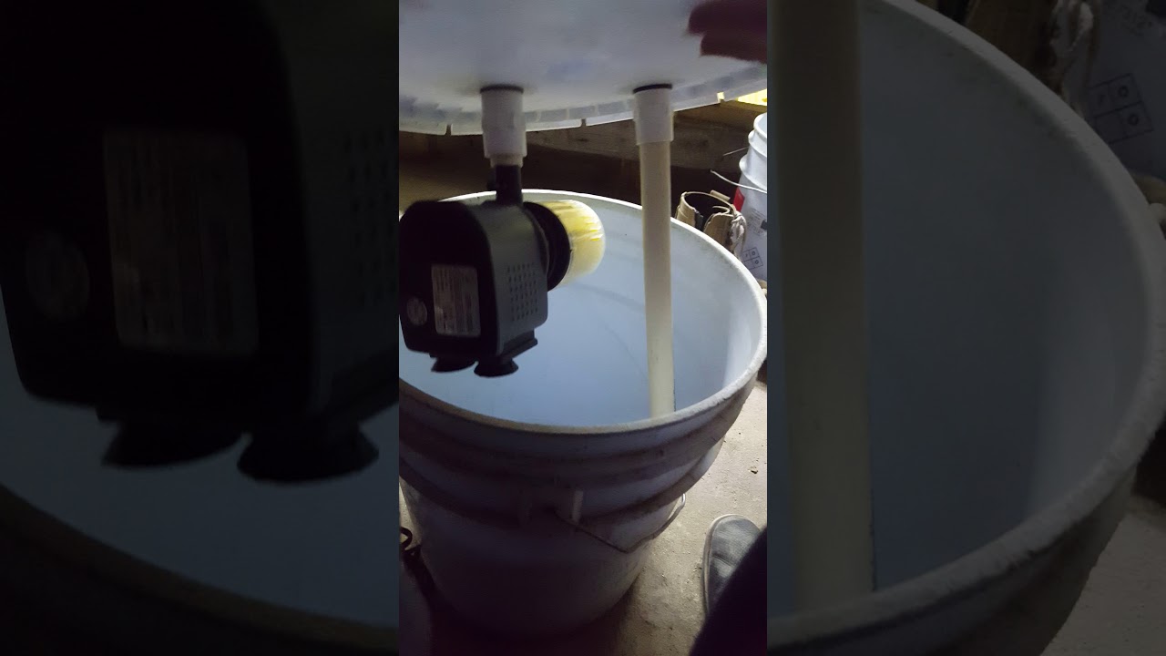 Filtro casero tipo canister con una cubeta