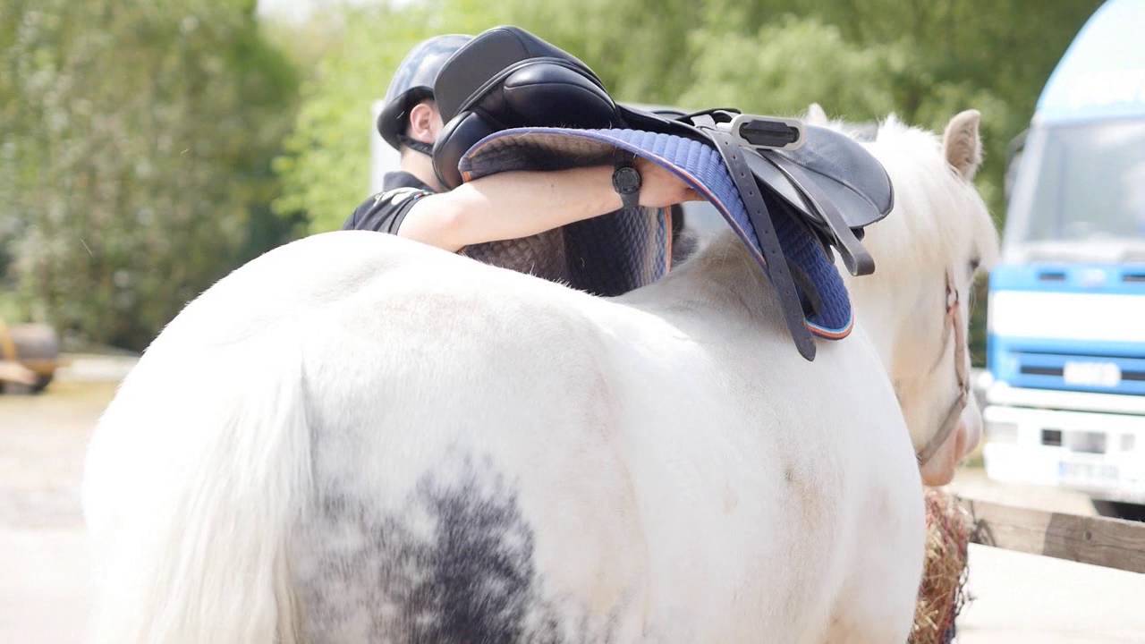 Horse Care Course