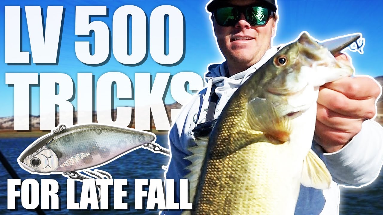 LV 500 Tricks for Late Fall Lake Berryessa