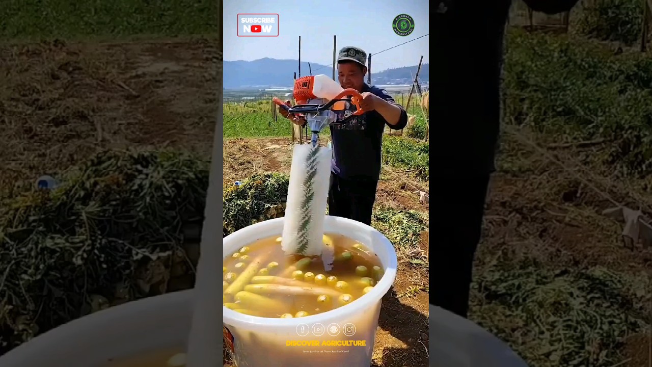 Vegetable Washing Machine