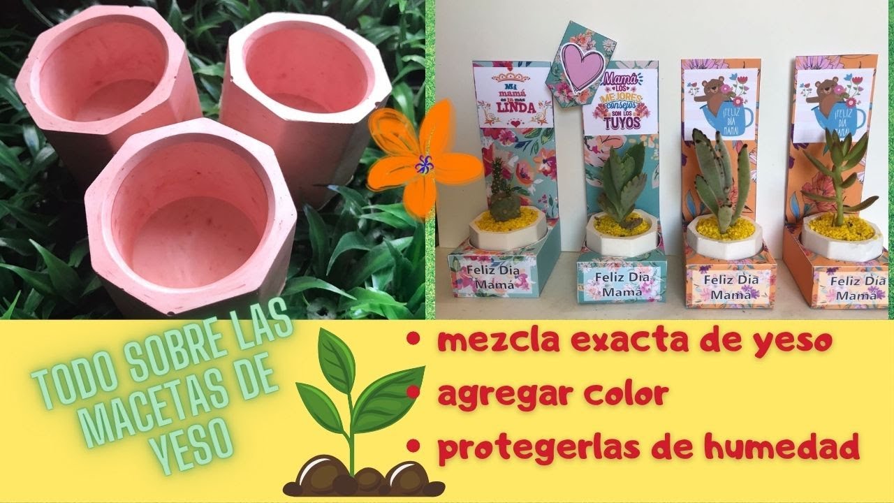 COMO HACER MACETAS DE YESO/ cactus y suculentas