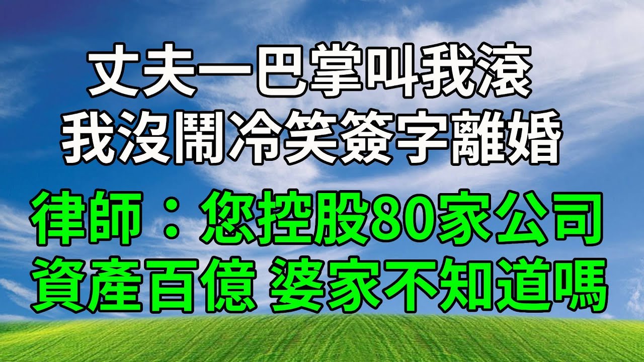 丈夫一巴掌叫我滾，我沒鬧冷笑簽字離婚，律師：您控股80家公司，資產百億 婆家不知道嗎？#生活經驗 #人生感悟