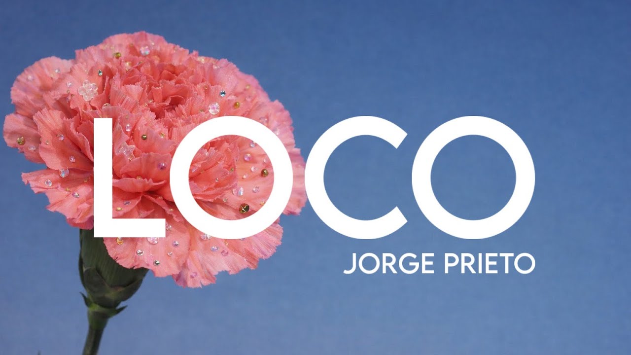 LOCO - Jorge Prieto (Letra/Lyrics)