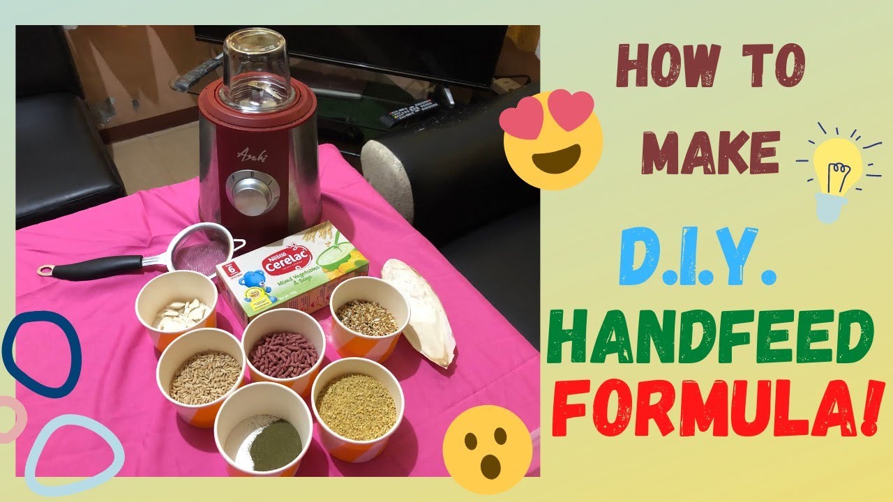 HOW TO MAKE D.I.Y. HANDFEED FORMULA/ TIPID TIPS FOR NEWBIE/ FOR ALBS, TIEL AND PARAKEETS VLOG# 30