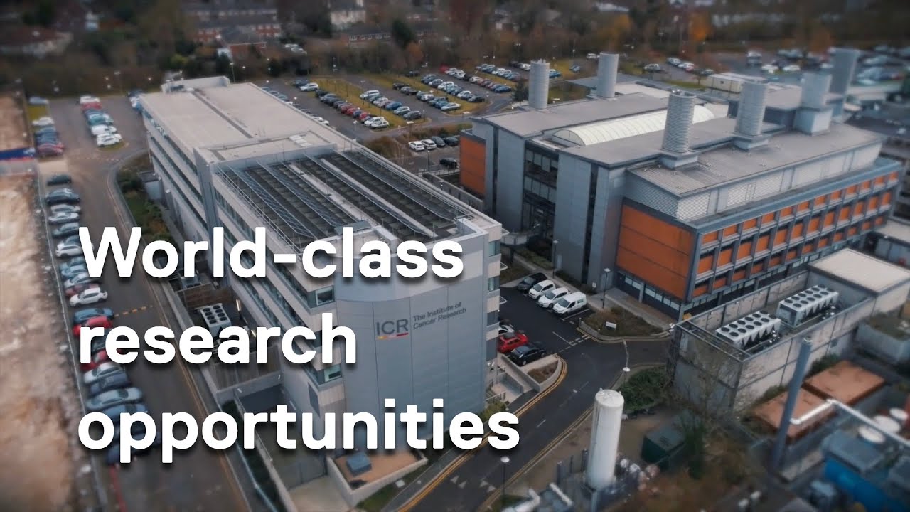 Working at the UK&rsquo;s leading cancer research institute