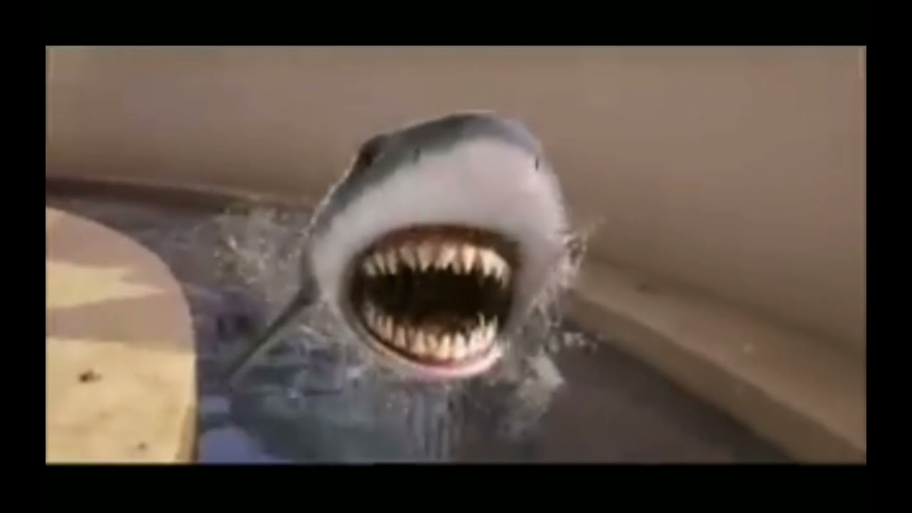 GRU VS SHARK