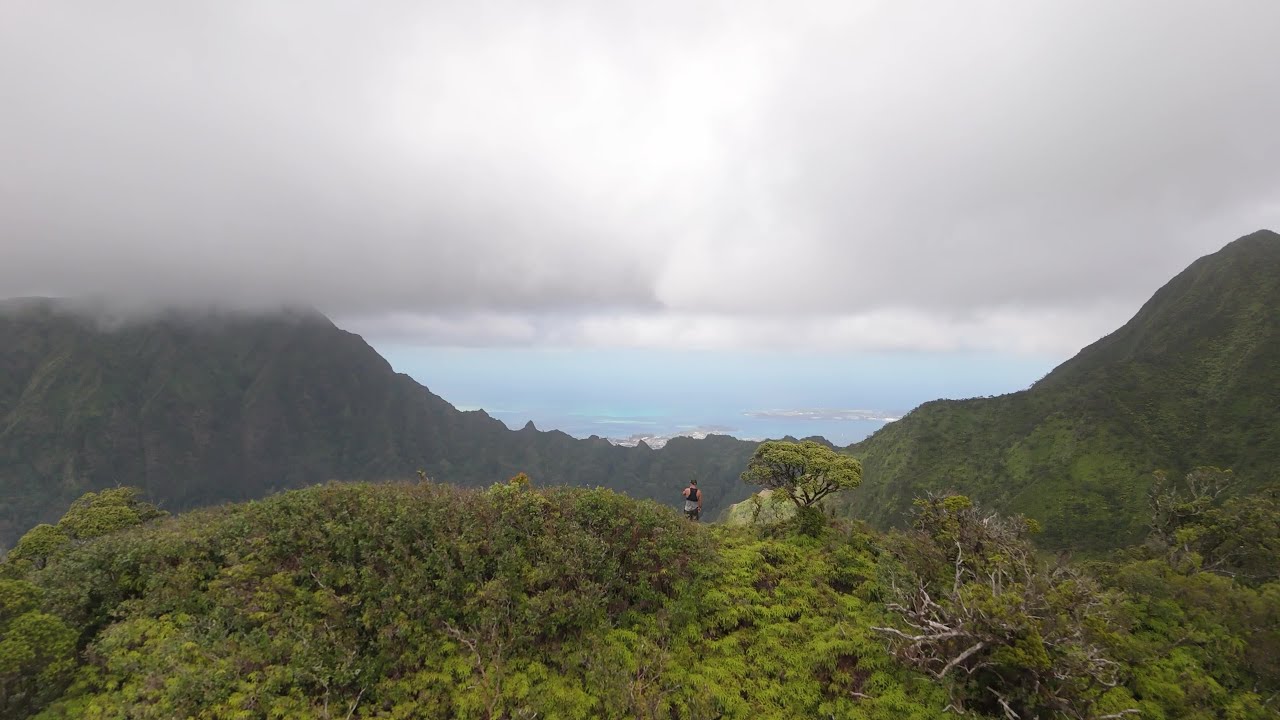 Honolulu Hikes - Kapālama Ridge Trail to Summit