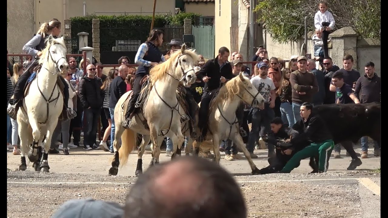 Mudaison - Abrivado/Bandido du 19 mars 2023.