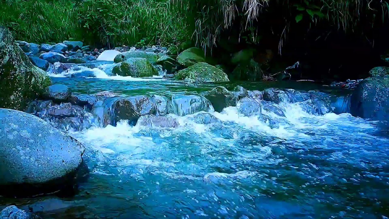 🍃 Serene River Flow ASMR Sounds for Deep Sleep, Relaxation & Inner Calm