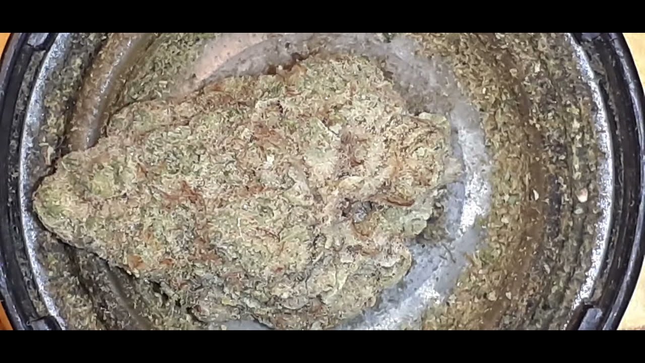 Hurricane, Medical marijuana strain, called Hurricane. S1.E36.
