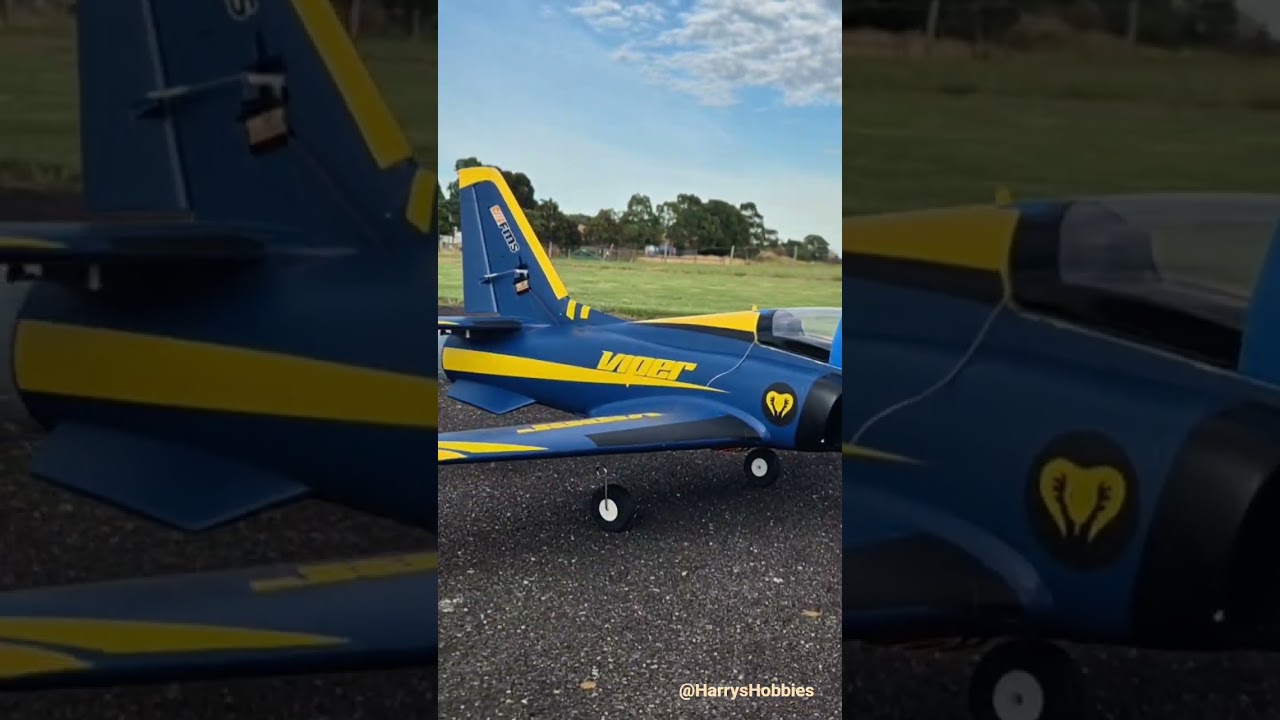 FMS 'Viper' 70mm EDF! #Preflight #Test #Thrust #RCJet #aviation #Runway #Park #flying