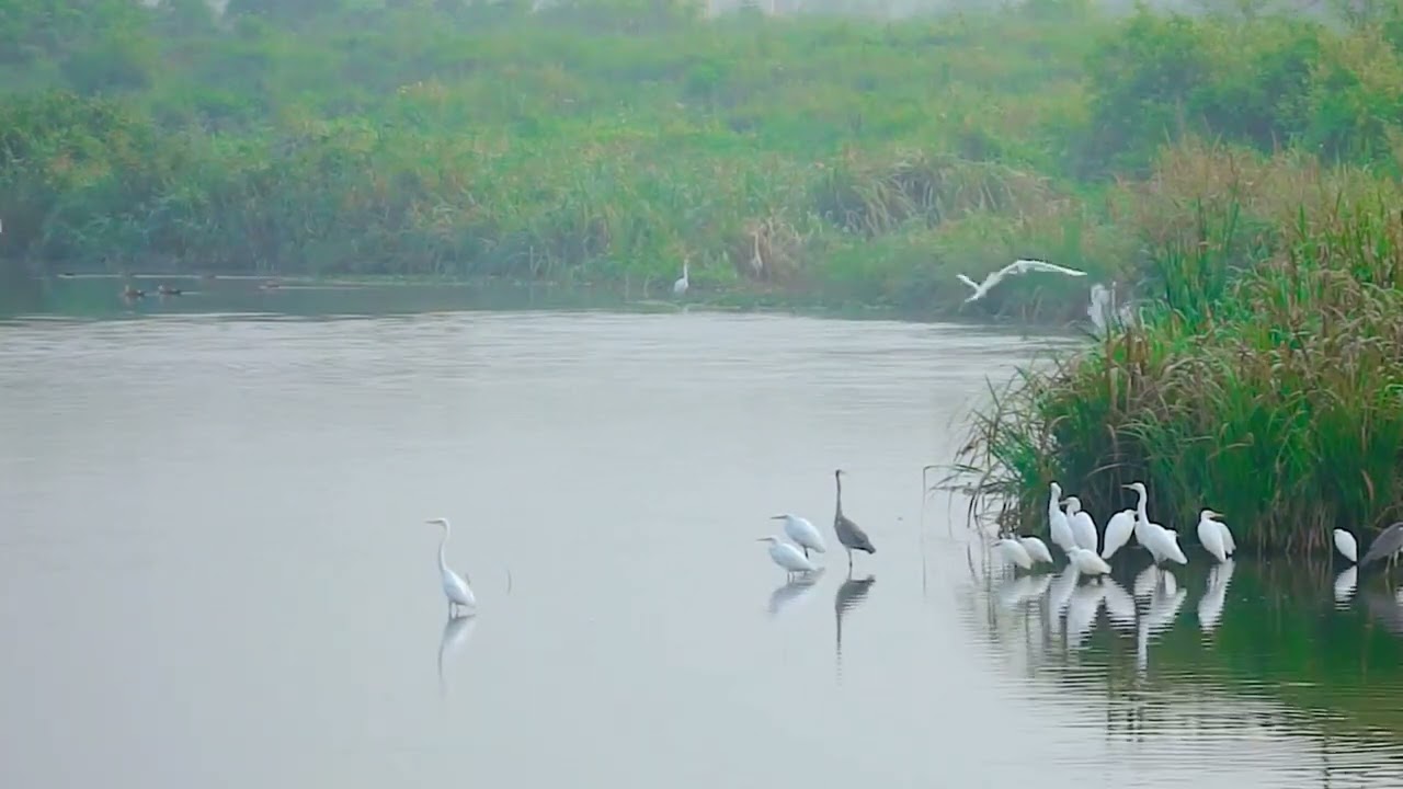 Palavra da criação de Deus 🙌