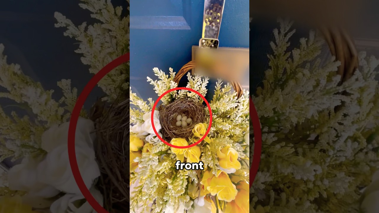 I found a bird nest on my door&hellip;