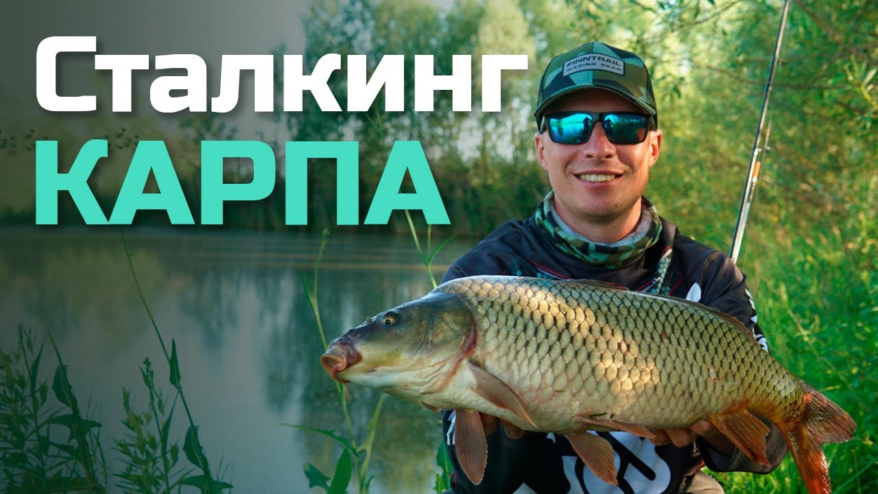 Рыбалка на КАРПА | 6 правил эффективного СТАЛКИНГА
