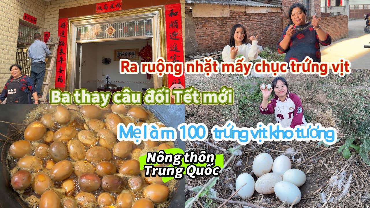 362 🥖 Mẹ chồng làm 100 trứng vịt kho tương, Ba thay câu đối Tết mới, ra ruộng nhặt trứng vịt.