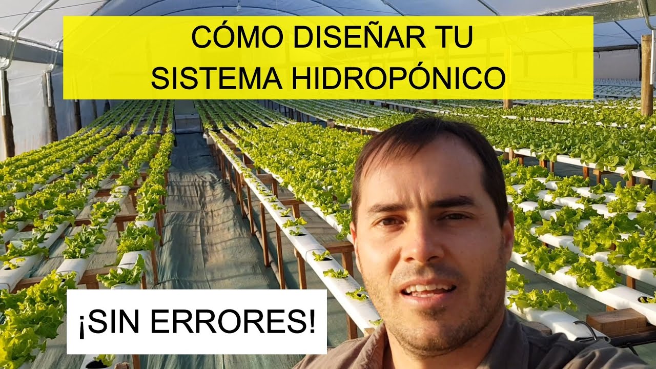Cómo Diseñar Tu Sistema Hidropónico - Hidroponía