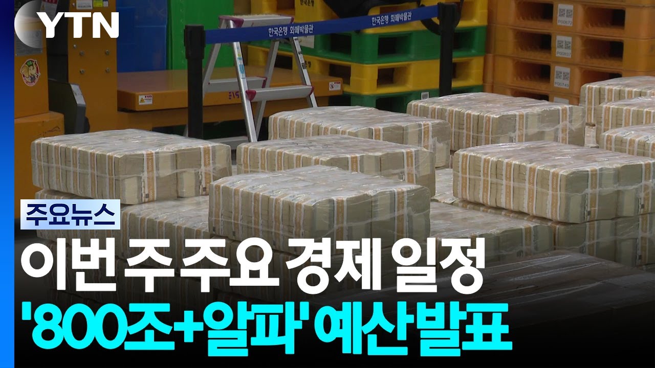 '800조+알파' 내년도 예산 이번 주 발표  전망 / YTN