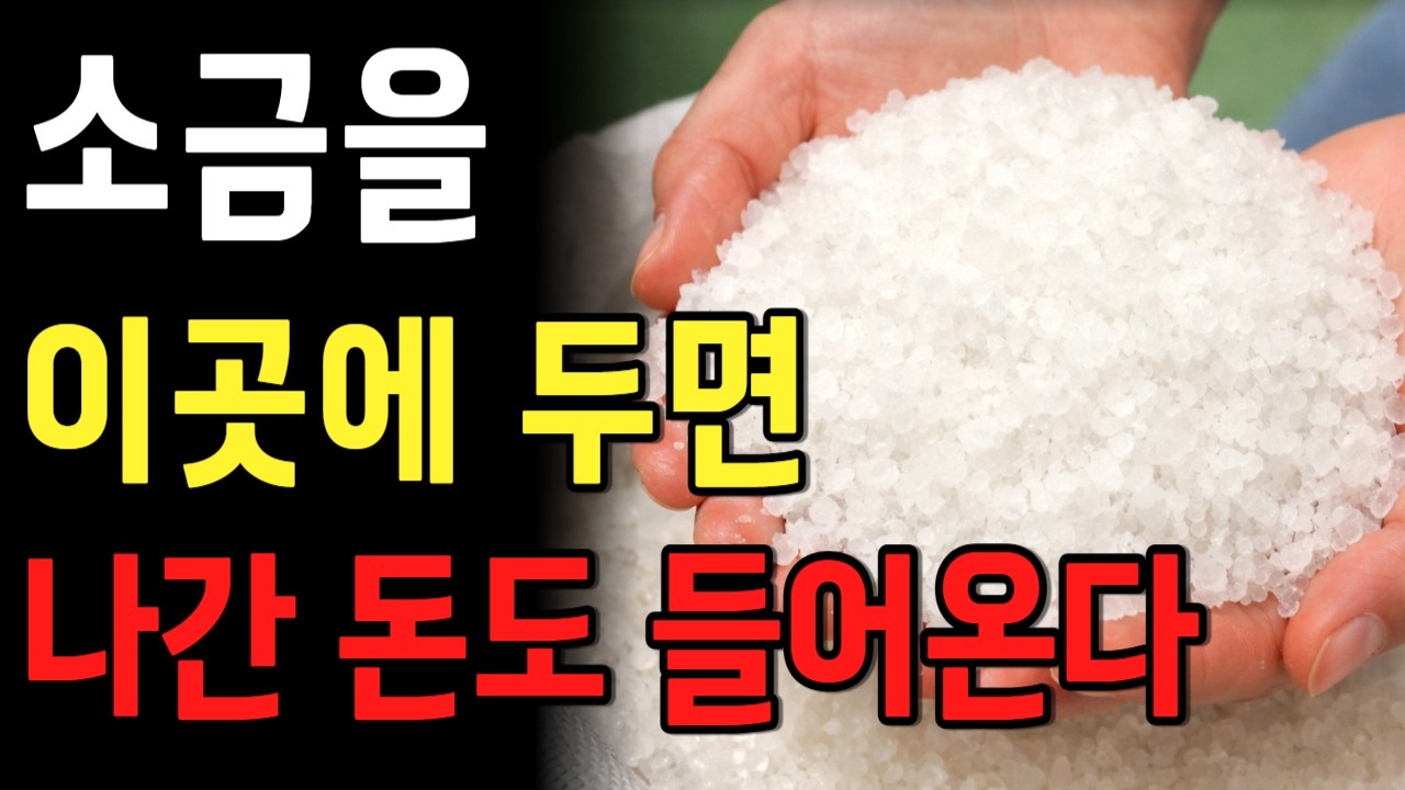 소금을 집안 ‘이곳’에 두세요. 막혀 있던 돈복이 들어옵니다ㅣ풍수ㅣ행복한 노후ㅣ65세이상 건강을 지키는 습관ㅣ오디오북