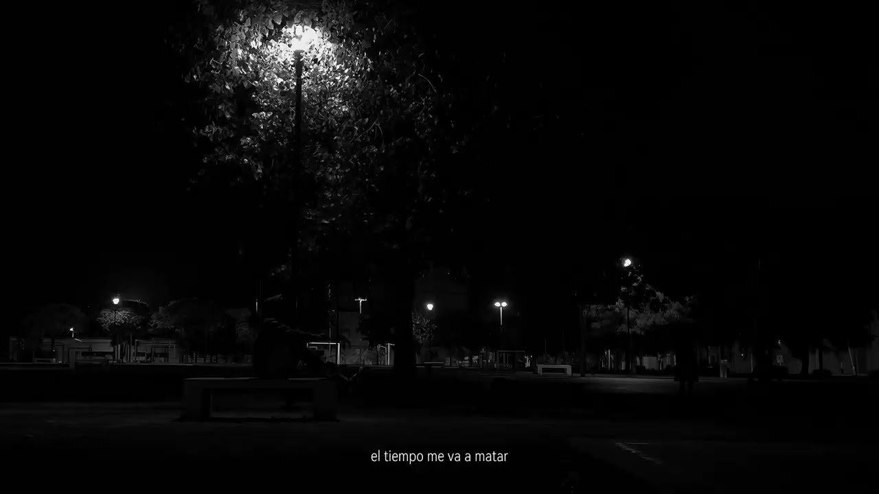 W.O.H x MUTT [VISUALIZER]