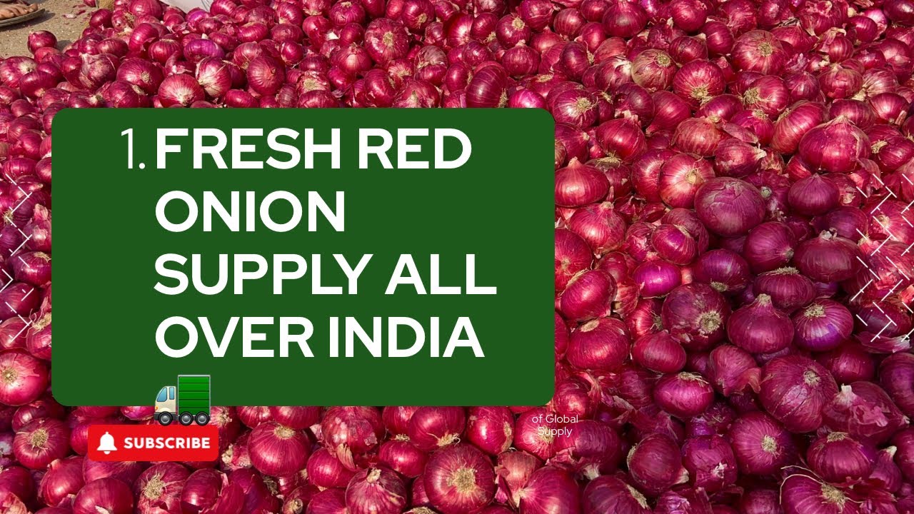 Fresh Red Onion Supply Across India 🇮🇳 | Nashik Best Quality Onion
