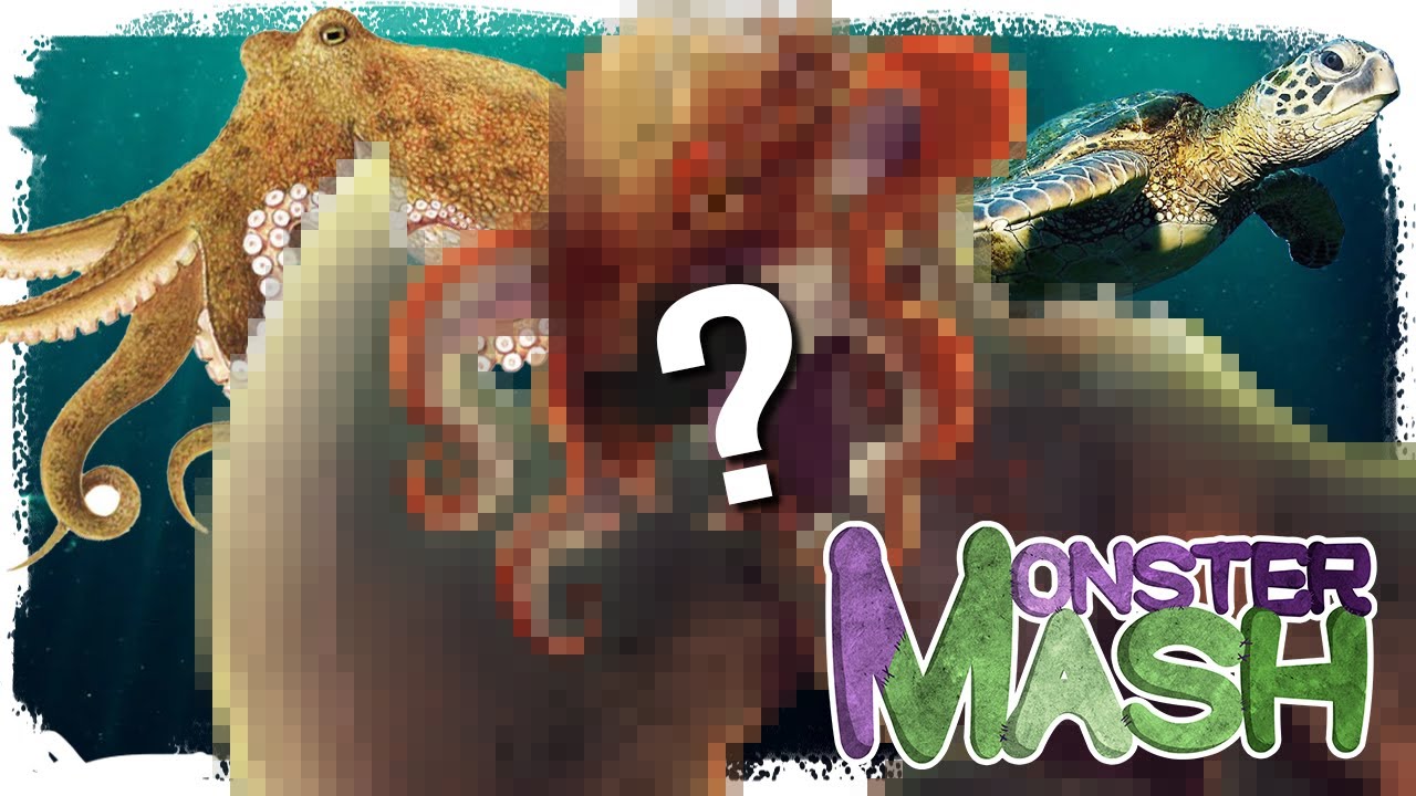 Морской виверн! | Monster Mash