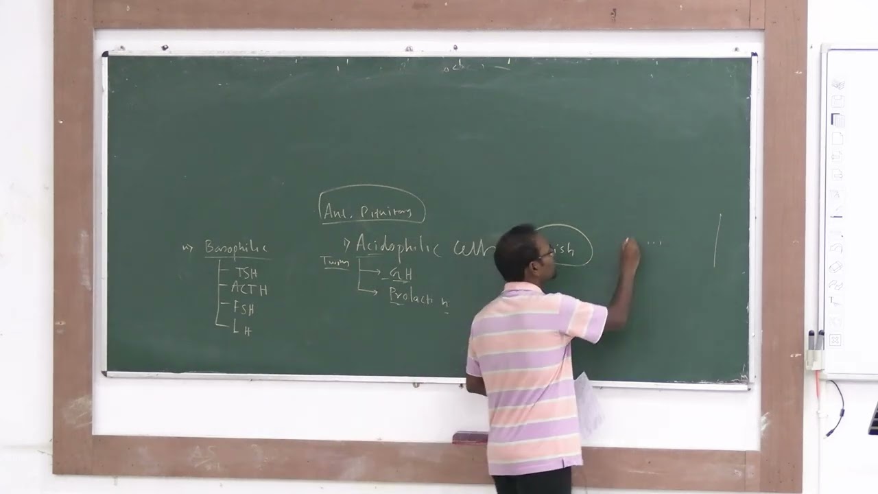 MBBS Class (2025-2026 Batch) Of Santiniketan Medical College & Hospital