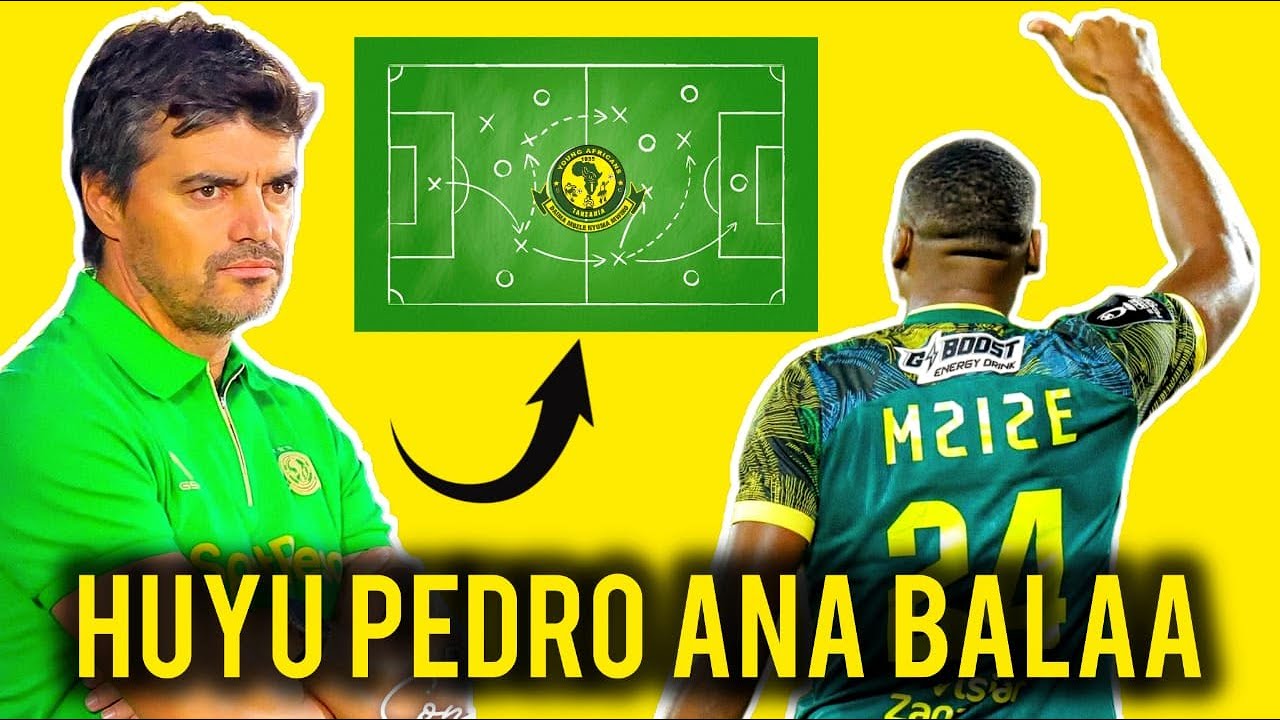 YANGA IMENOGA SASA !! PEDRO KAJA NA MPANGO KAZI WA KIBABE ..