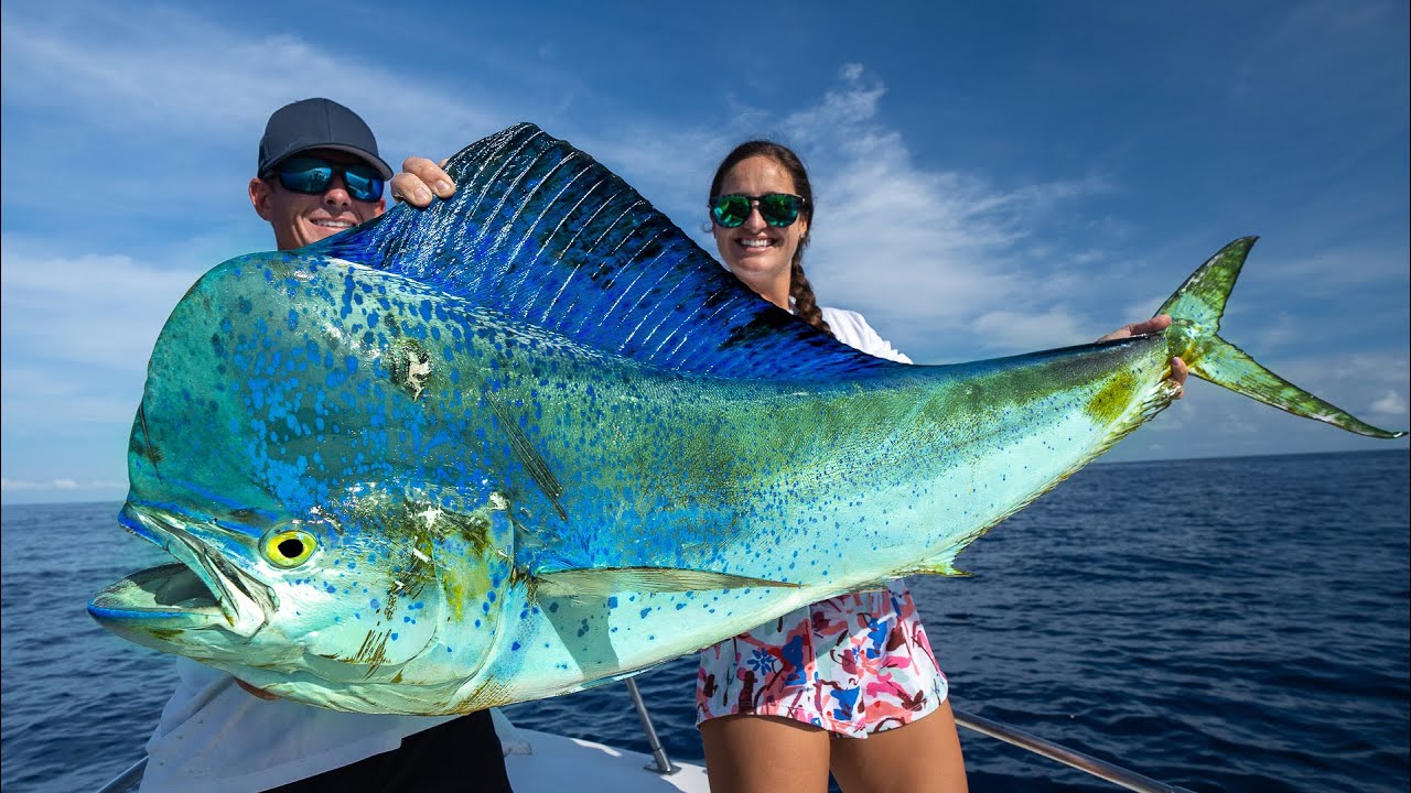MASSIVE Mexican Mahi Mahi! Catch Clean Cook