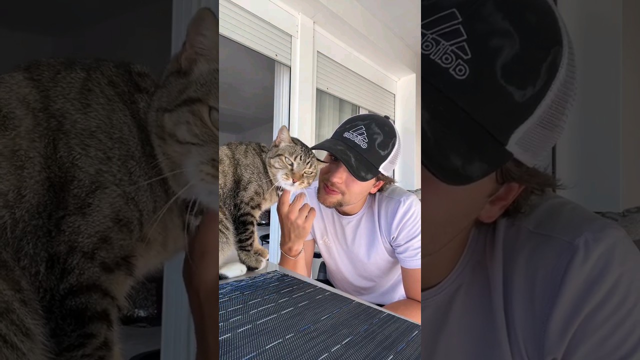 Emilio Martinez with Lukas 🐾🐱 (August 12, 2024)
