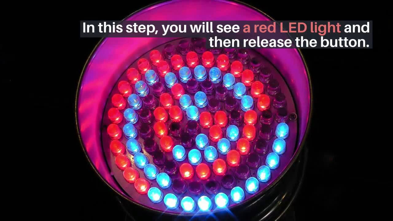 How to Reset Amazon Smart Plug?