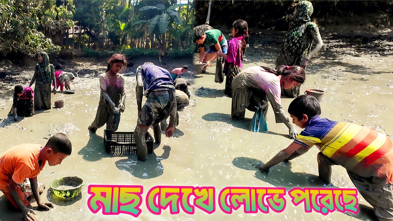 lমাছ দেখে গ্রামের মানুষ লোভে পড়ে গেছে l The villagers are greedy after seeing the fish.