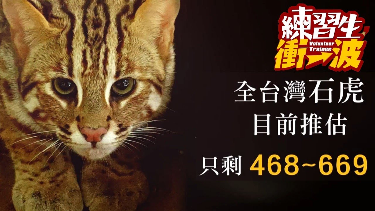 在石虎滅絕之前｜《練習生，衝一波！》S2 EP13