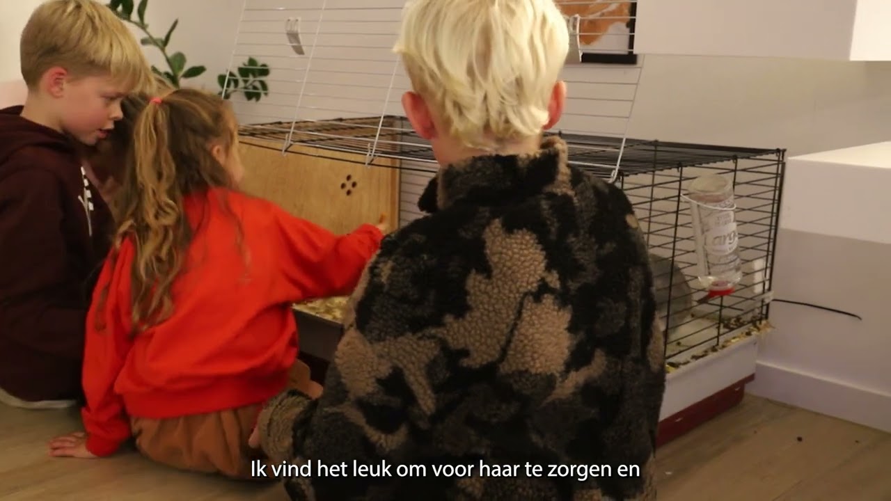 Storm aan het woord