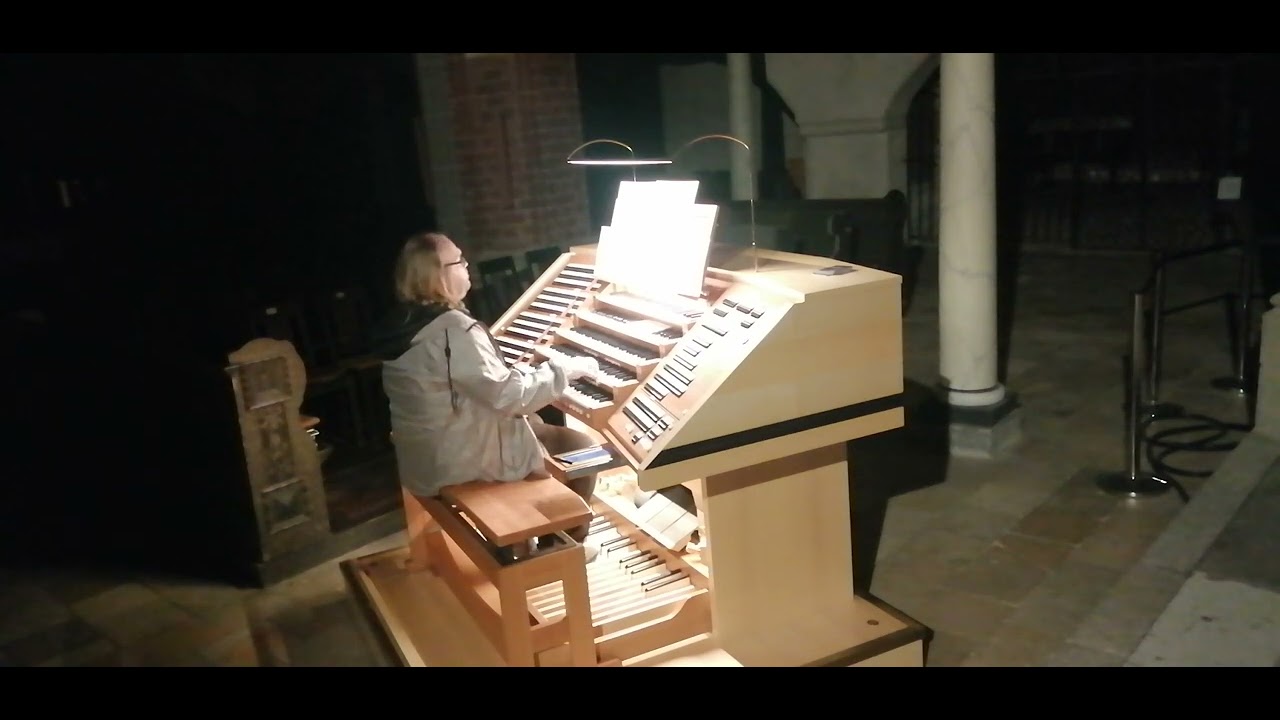 Philip Glass - Prophecies (Film: Koyaanisqatsi) A. Patzwald an der Orgel in St. Katharinen zu BRB