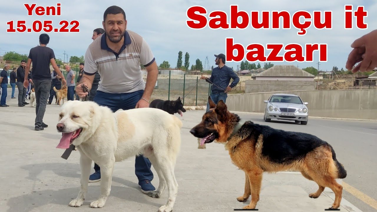 Sabunçu İT bazarı 15.05.22 #sabuncuitbazari #sabuncutoyuqbazari #sabuncuqusbazari