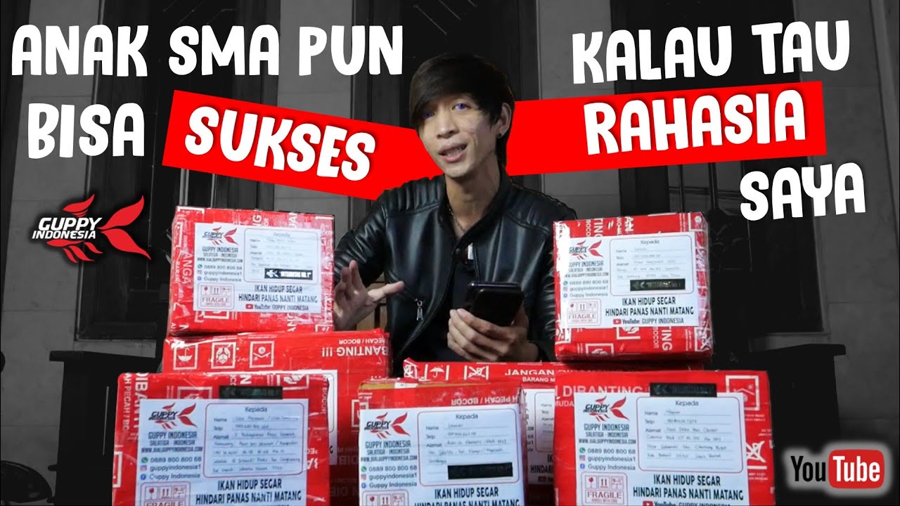 RAHASIA BISNIS IKAN GUPPY